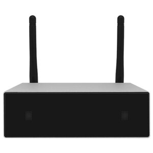 Сетевой музыкальный проигрыватель DSPPA DW0250