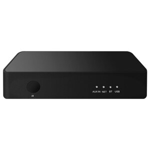 Сетевой музыкальный проигрыватель DSPPA DW01