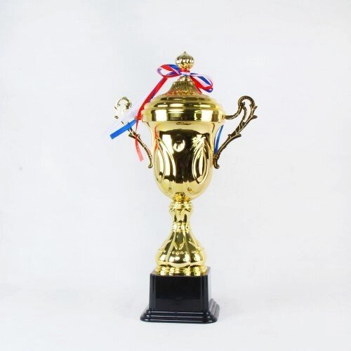 Кубок 1304A от компании STAR SPORTS - Магазин спортивных товаров - фото 1