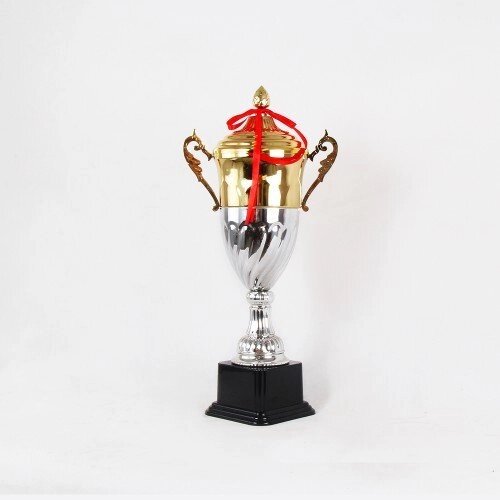 Кубок 225B от компании STAR SPORTS - Магазин спортивных товаров - фото 1