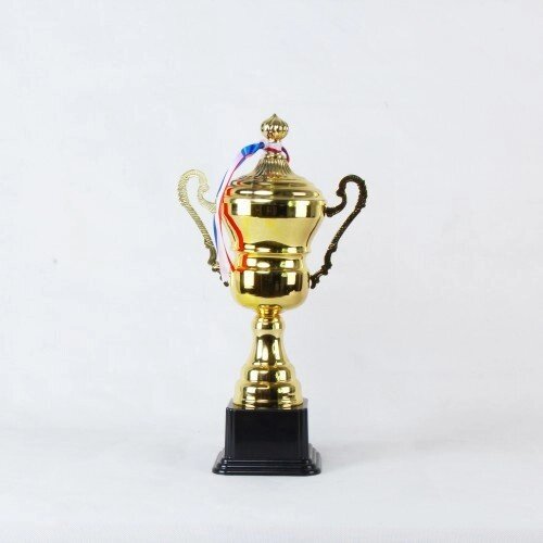 Кубок 4070C от компании STAR SPORTS - Магазин спортивных товаров - фото 1
