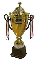 Кубок Н192А от компании STAR SPORTS - Магазин спортивных товаров - фото 1