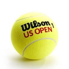 Мяч для большого тенниса Wilson от компании STAR SPORTS - Магазин спортивных товаров - фото 1