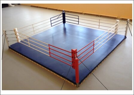 Ринг боксерский 4 х 4 м на растяжках от компании STAR SPORTS - Магазин спортивных товаров - фото 1