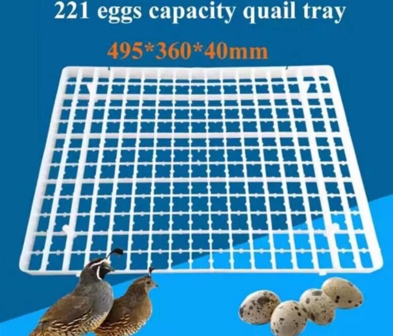 Лоток для перепилинного яйца вместимостью 221 от компании Группа Интернет-Магазинов GiX - фото 1