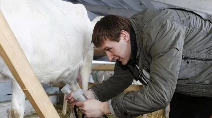 Насадка для доения кобыл и коз для доильного аппарата Зорька от компании Группа Интернет-Магазинов GiX - фото 1