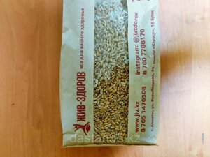 Пшеница для проращивания Россия (1 кг)
