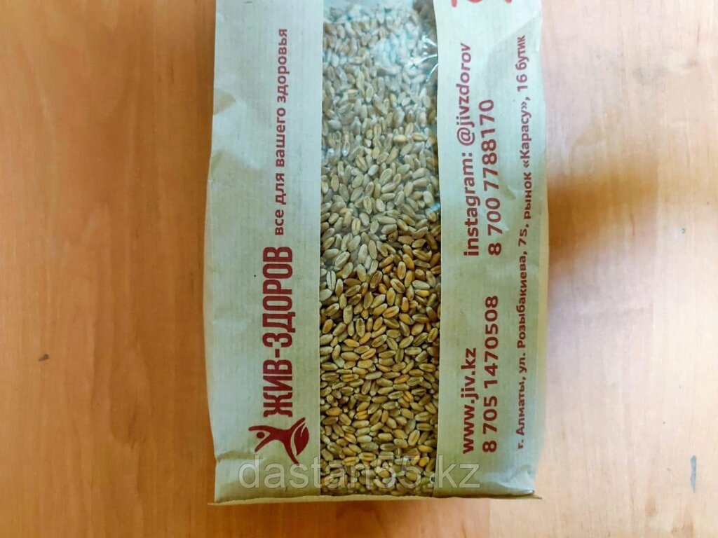 Пшеница для проращивания Россия (1 кг) от компании "Жив-Здоров" - лавка натуральных продуктов - фото 1