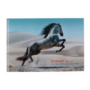 Альбом для эскизов А4, 20 листов на гребне 'Грациозная лошадь'обложка мелованный картон, блок офсет 80 г/м2