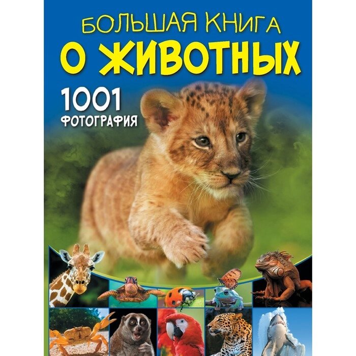 Большая книга о животных. 1001 фотография. Ермакович Д. И. от компании Интернет-магазин "Flap" - фото 1