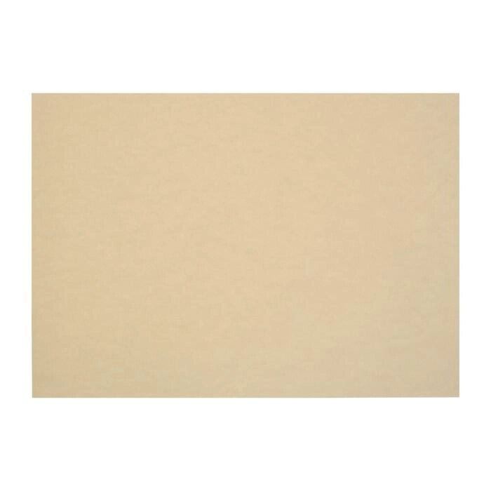 Бумага для рисования А3, 50 листов, тиснение 'лён', 200 г/м, цвет палевый от компании Интернет-магазин "Flap" - фото 1
