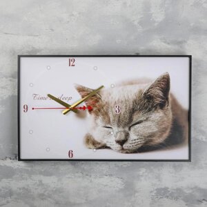 Часы-картина настенные, интерьерные 'Серая кошка'плавный ход, 57 х 35 х 4 см