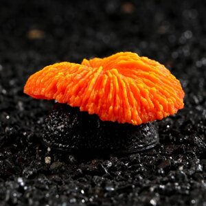 Декор для аквариума коралл 'Пильчатый гриб'силиконовый, 5 х 2,5 см, оранжевый