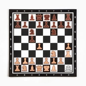 Демонстрационные шахматы 40 х 40 см 'Время игры' на магнитной доске, 32 шт, чёрные