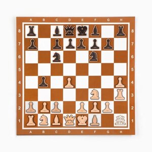 Демонстрационные шахматы 40 х 40 см 'Время игры' на магнитной доске, 32 шт, коричневые