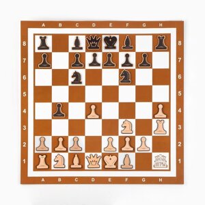 Демонстрационные шахматы 60 х 60 см 'Время игры' на магнитной доске, 32 шт, коричневые
