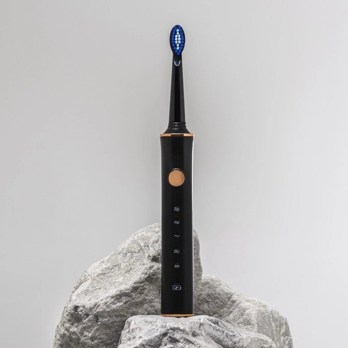 Электрическая зубная щётка Luazon LP-002, вибрационная, 31000 дв/мин, 4 насадки, АКБ, черная от компании Интернет-магазин "Flap" - фото 1