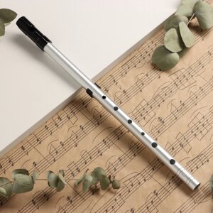Флейта Music Life B, профи, серебристая, 37,5 см