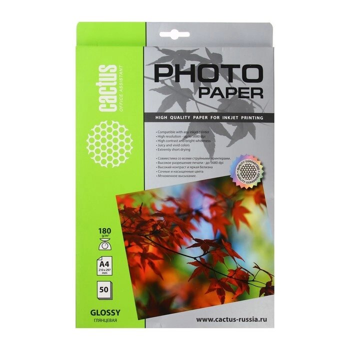 Фотобумага для струйной печати А4, 50 листов Cactus, 180 г/м2, односторонняя, глянцевая от компании Интернет-магазин "Flap" - фото 1