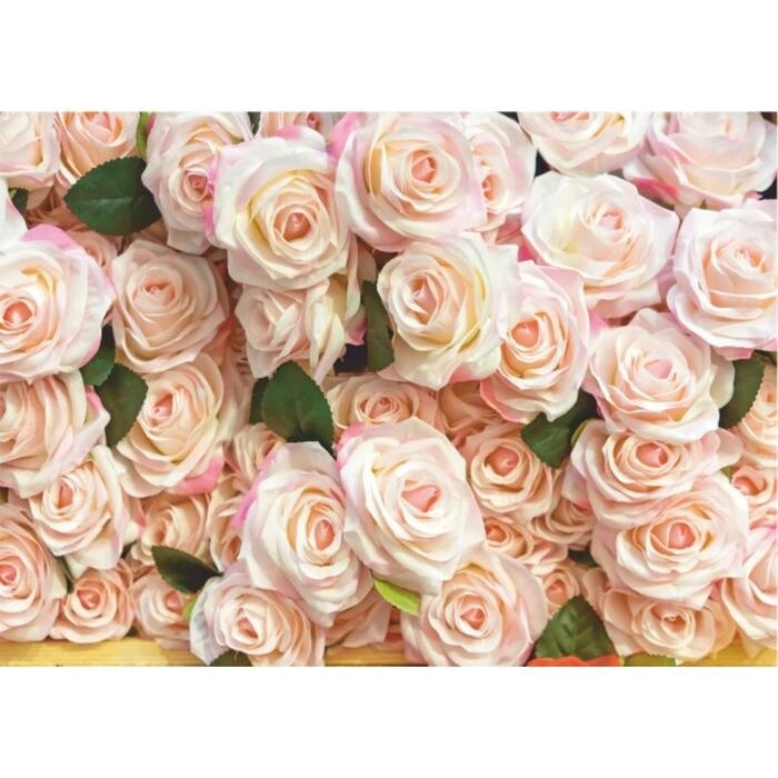 Фотообои B-013 Bellissimo 'Роскошные розы', 8 листов 2800х2000мм от компании Интернет-магазин "Flap" - фото 1