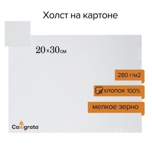 Холст на картоне Calligrata, хлопок 100, 20 х 30 см, 3 мм, акриловый грунт, мелкое зерно, 280 г/м2