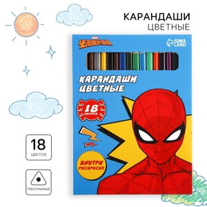 Карандаши цветные 18 цветов, Супер-мен'Человек-Паук