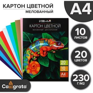 Картон цветной двусторонний А4, 10 листов, 20 цветов, Calligrata TOP мелованный 230 г/м2, в папке