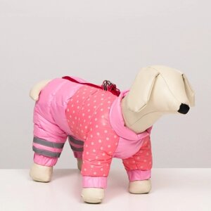Комбинезон для собак 'Горошек'размер 20 (ДС 43, ОГ 56, ОШ 41 см), розовый