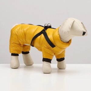 Комбинезон для собак со шлейкой 'Моден' размер 10 (ДС 25, ОГ 34, ОШ 24 см), жёлтый