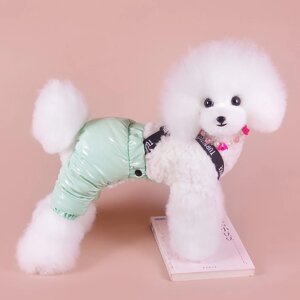 Комбинезон-штаны для собак, размер S (ДС 31, ОТ 34 см), мятный