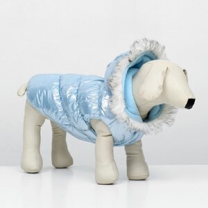 Куртка для собак 'Легкость'размер 2XL (ДС 44, ОГ 59, ОШ 44 см), голубая