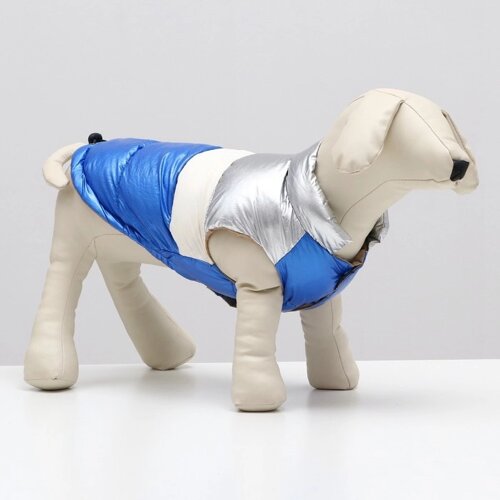 Куртка для собак с утяжкой размер 10 (ДС 25, ОГ 34, ОШ 24), серебряно-синяя