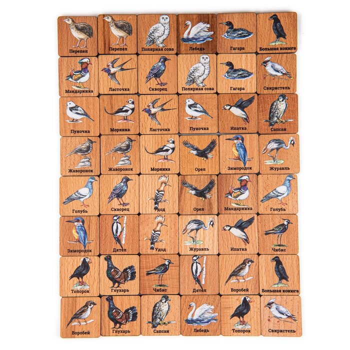 Мемори 'Птицы', в картонной коробочке от компании Интернет-магазин "Flap" - фото 1