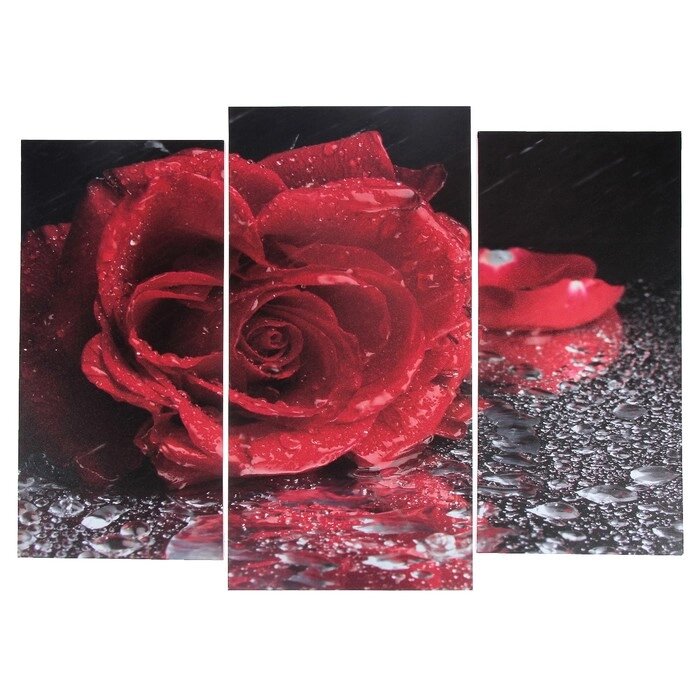 Модульная картина 'Роза под дождём'  (2-25х52 1-30х60) 60х80 см от компании Интернет-магазин "Flap" - фото 1