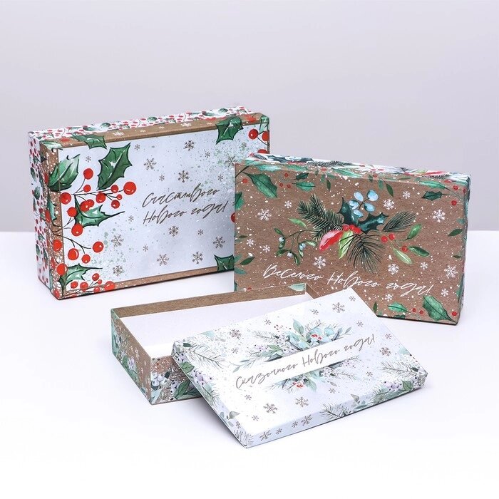 Набор коробок 3 в 1 'Новогодняя композиция', 29 х 19 х 8 - 24 х 14 х 5 см от компании Интернет-магазин "Flap" - фото 1