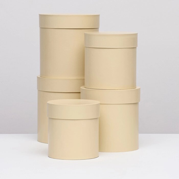 Набор круглых коробок 5в1 'Ваниль перламутровая', 20 x 20 15 x 15 см от компании Интернет-магазин "Flap" - фото 1