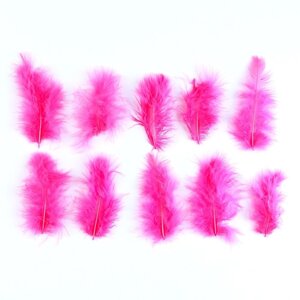 Набор перьев для декора 10 шт., размер 1 шт. 10 x 2 см, цвет светло-розовый