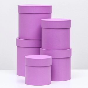 Набор шляпных коробок 5 в 1 'Фиолетовые'20 х 20-13 х 13 см