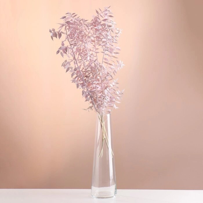 Набор сухоцветов 'Рускус', банч 5-6 шт, длина 50-60 (+/- 6 см), розовый от компании Интернет-магазин "Flap" - фото 1