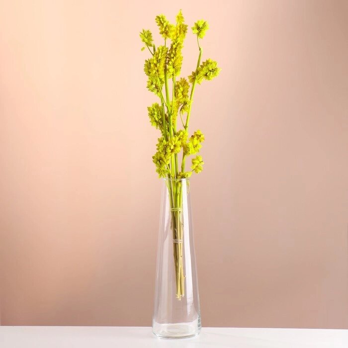 Набор сухоцветов 'Солодка', банч 3 шт, длина 50  (+/- 6 см), ярко-желтый от компании Интернет-магазин "Flap" - фото 1