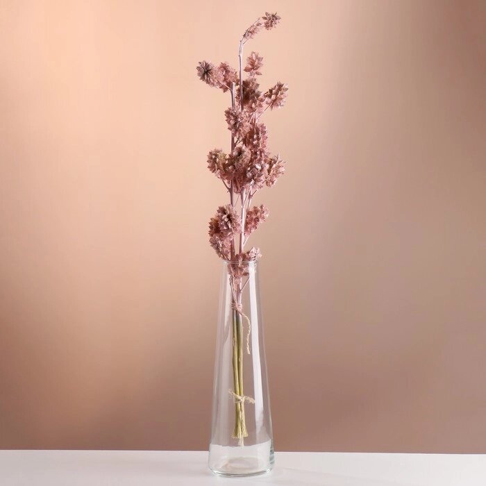 Набор сухоцветов 'Солодка', банч 3 шт, длина 60 (+/- 6 см), розовый от компании Интернет-магазин "Flap" - фото 1