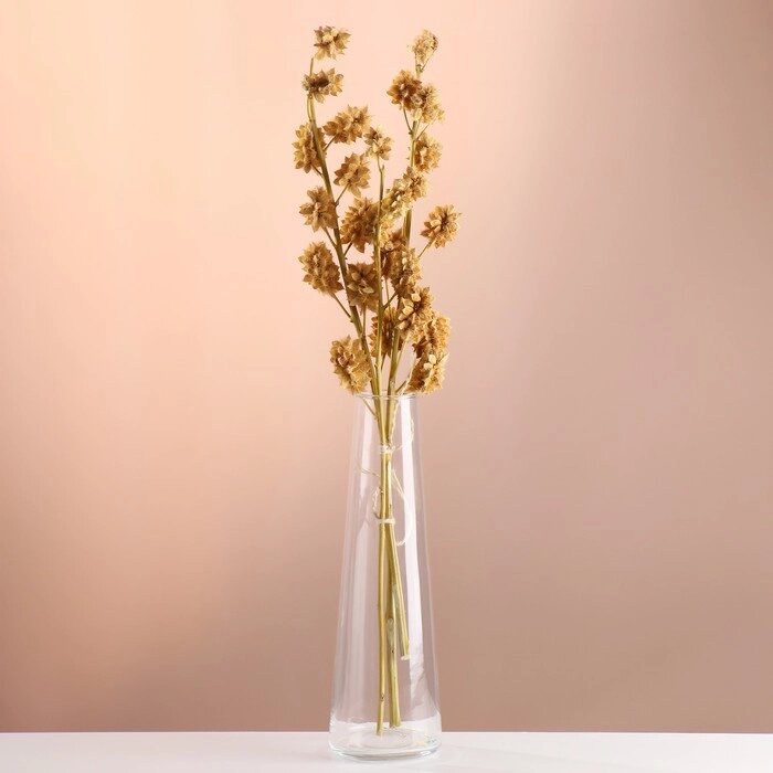 Набор сухоцветов 'Солодка', банч 3 шт, длина 60 (+/- 6 см), выбеленный от компании Интернет-магазин "Flap" - фото 1