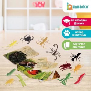 Набор животных с обучающими карточками 'В мире насекомых'животные пластик, карточки, по методике Монтессори