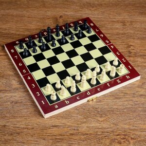 Настольная игра 3 в 1 'Карнал' нарды, шахматы, шашки, 20.5 х 20.5 см