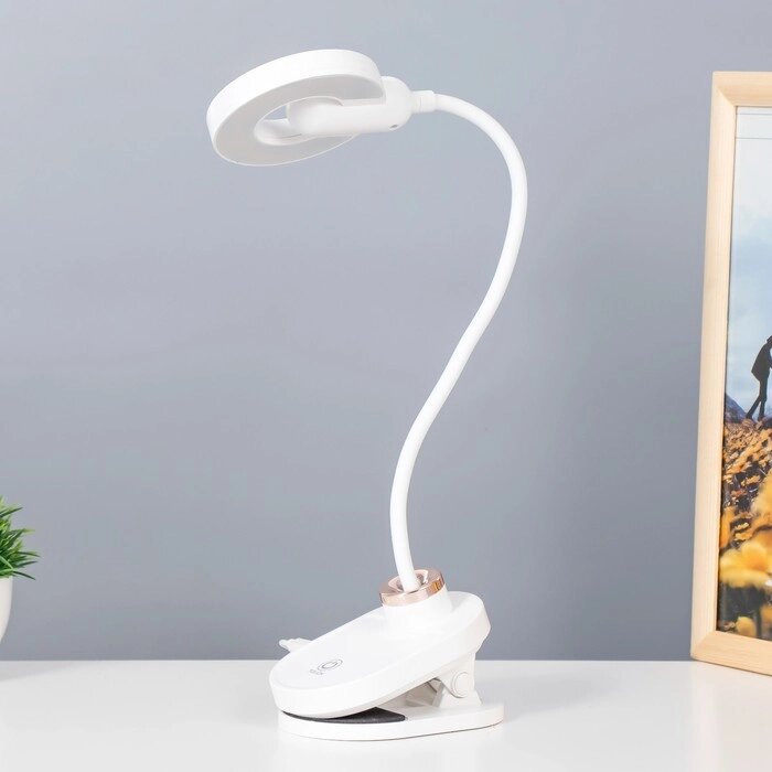 Настольная лампа на прищепке 'Блум' LED 3Вт АКБ USB белый 8х12х42,5 см RISALUX от компании Интернет-магазин "Flap" - фото 1