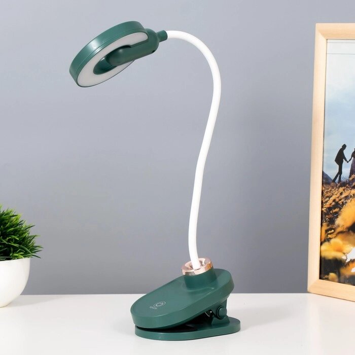 Настольная лампа на прищепке 'Блум' LED 3Вт АКБ USB зеленый 8х12х42,5 см RISALUX от компании Интернет-магазин "Flap" - фото 1