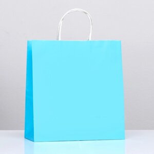 Пакет крафт 'Радуга'голубой, 25 х 12 х 27 см, 80 г/м2, 1 шт