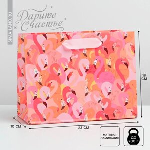 Пакет подарочный ламинированный горизонтальный, упаковка, Фламинго'MS 18 х 23 х 10 см