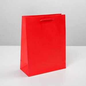 Пакет подарочный ламинированный, упаковка, Красный'MS 18 х 23 х 8 см