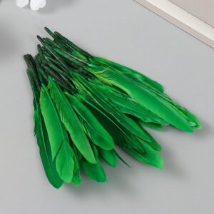 Перо декоративное гусиное 'Ярко-зелёное' набор 30 шт h10-12 см
